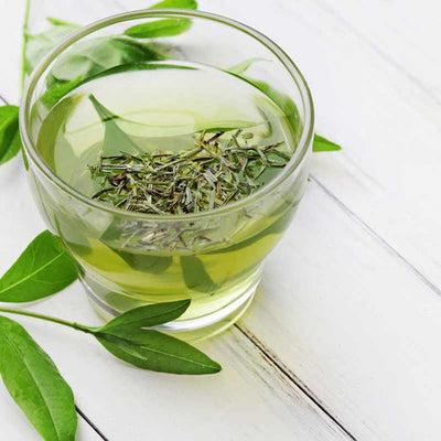 Ingredient Spotlight: Green Tea