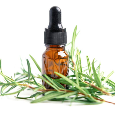 Why Is Rosemary Good For My Skin?