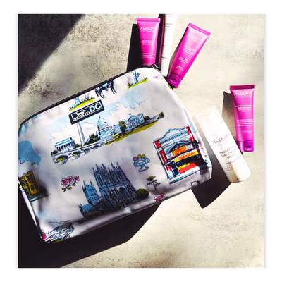 Alchimie Forever x Scout Limited Edition Beauty Bag. White background with iconic Washington, DC landmarks.